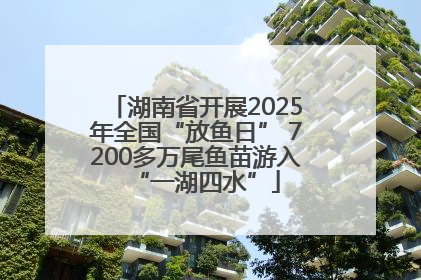 湖南省开展2025年全国“放鱼日” 7200多万尾鱼苗游入“一湖四水”